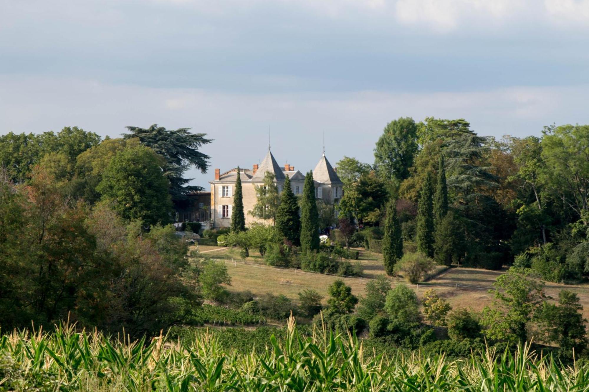 Domaine De Montclair Bed & Breakfast Pommiers  Dış mekan fotoğraf